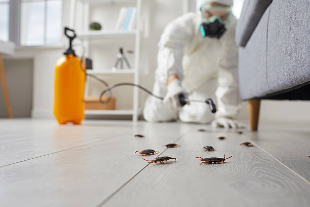 Commercial Kitchen Cockroach Control in Owasso